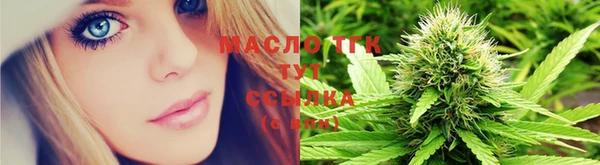 сатива Арсеньев