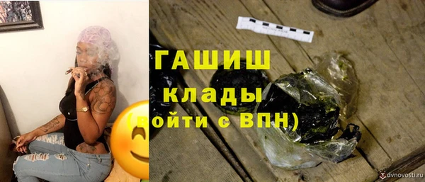 сатива Арсеньев