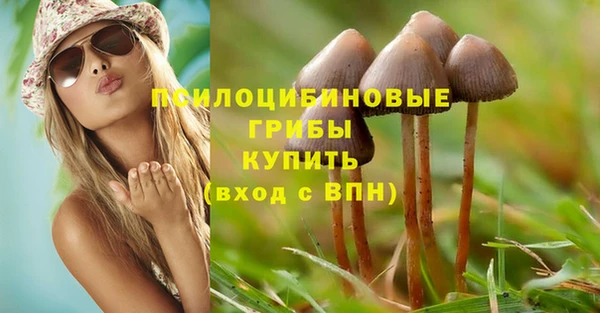 сатива Арсеньев