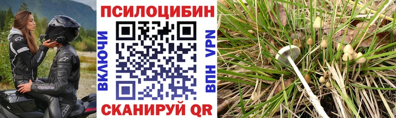площадка официальный сайт Радужный Галлюциногенные грибы мицелий