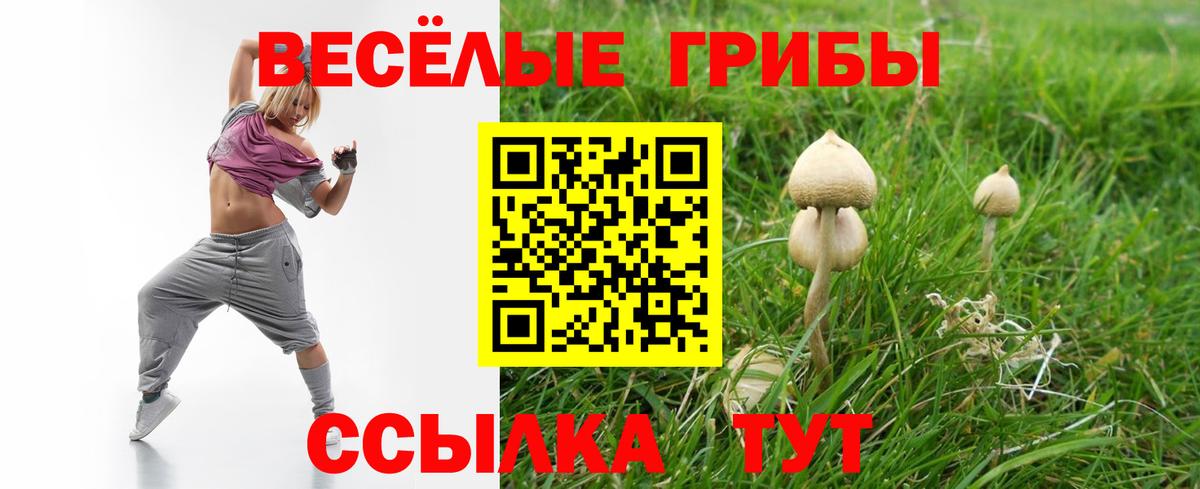 Радужный  Галлюциногенные грибы ЛСД  закладки  Вход с VPN  Псилоцибиновые грибы GOLDEN TEACHER 